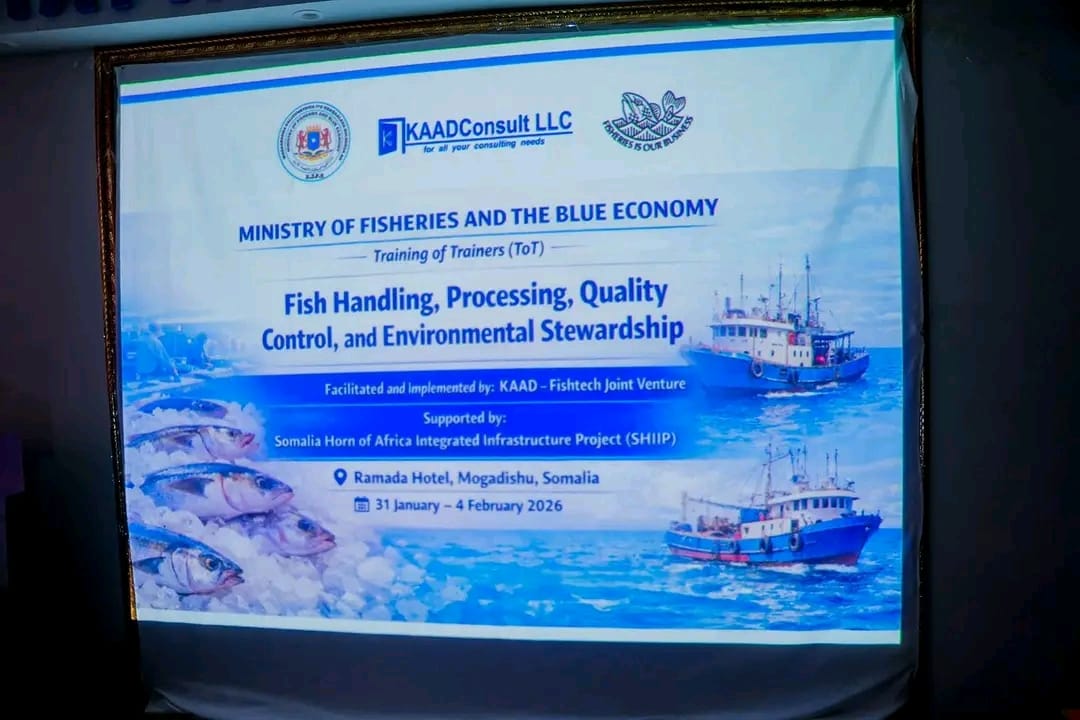 Ministry of Fisheries and Blue Economy Launches Training on Fish Management, Processing, Quality Control, and Environmental Protection. — image 5