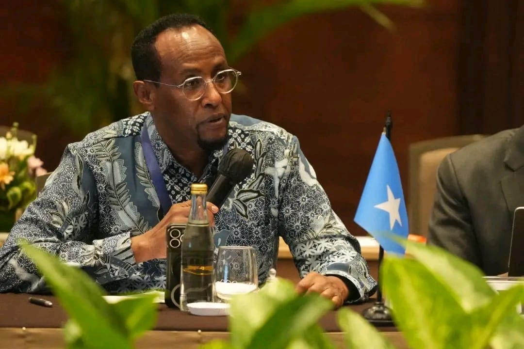 Somalia Strengthens Indian Ocean Cooperation at the 30th Coastal States Alliance Session. — image 3