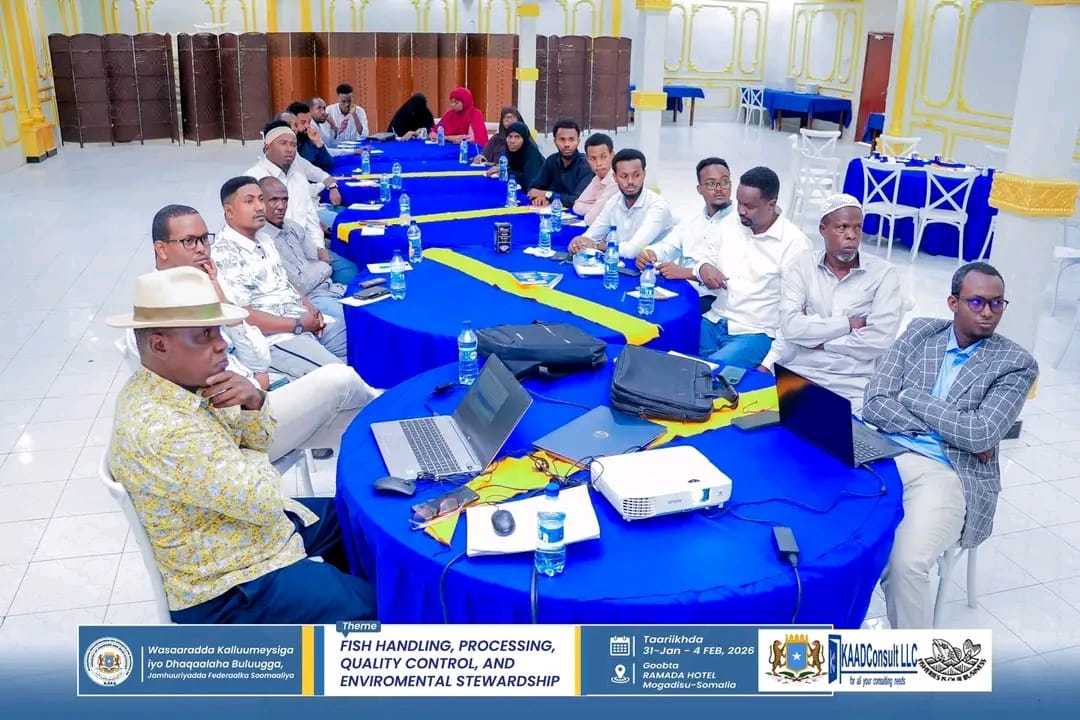 Ministry of Fisheries and Blue Economy Launches Training on Fish Management, Processing, Quality Control, and Environmental Protection. — image 6